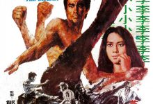 The Way of the Dragon 1972 Film Review:Bruce Lee Classic Action Movies