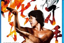 Snake in the Eagle's Shadow 1978 Film Review: Innovative Serpentine Fist, stepping up to the plate