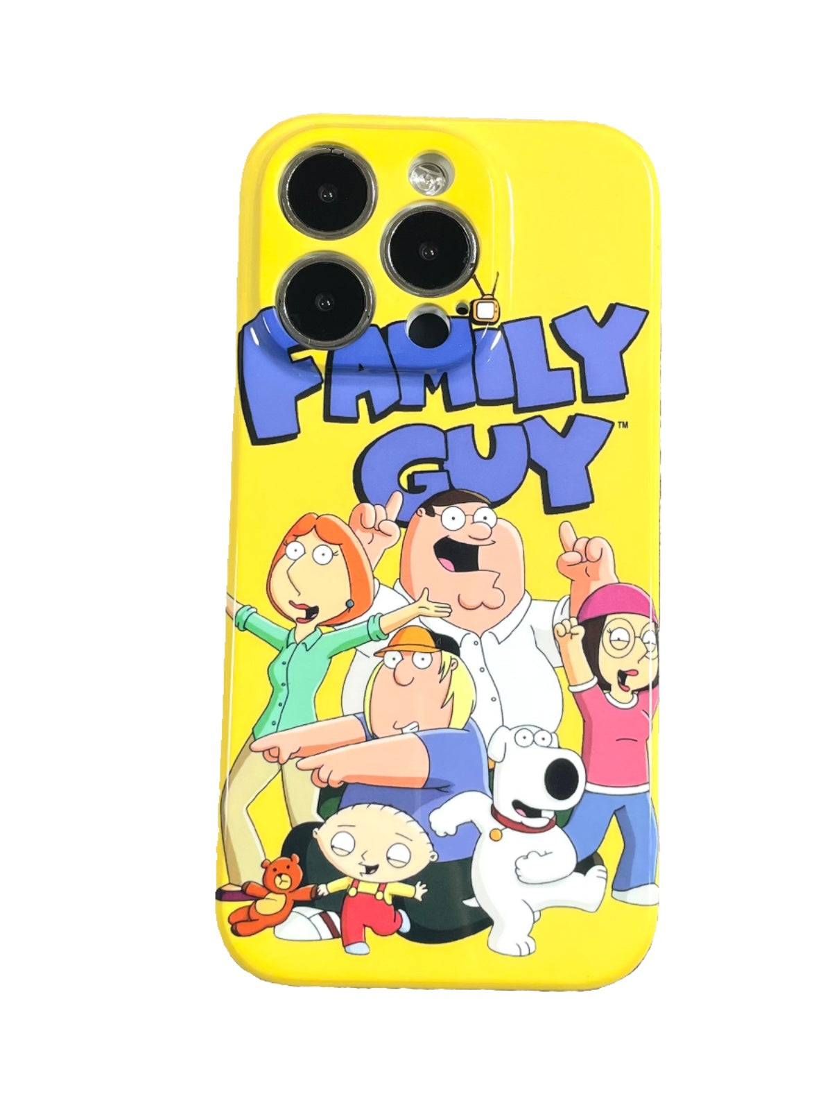 anime case
