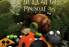 Minuscule: Valley of the Lost Ants 2013 Animation Film Review: The beauty of an uncertain future