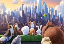 The Secret Life of Pets 2016 Animation Film Review: Look up to the master and see the world eye to eye