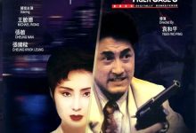 Tiger Cage III 1991 Film Review: A film with a sudden shift in visual style