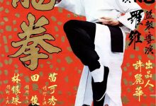 Long quan 1979 Film Review: Classic martial arts action films from the 1970s and 1980s