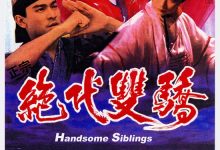 Handsome Siblings 1992 Film Review: Brigitte Lin's 1992