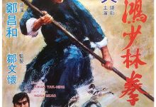 The Skyhawk 1974 Film Review: Short Review